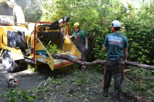 tree services Roeland Park